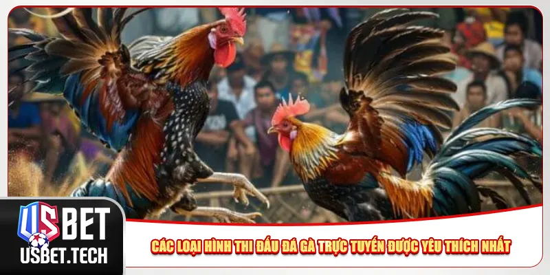 Các loại hình thi đấu đá gà trực tuyến được yêu thích nhất