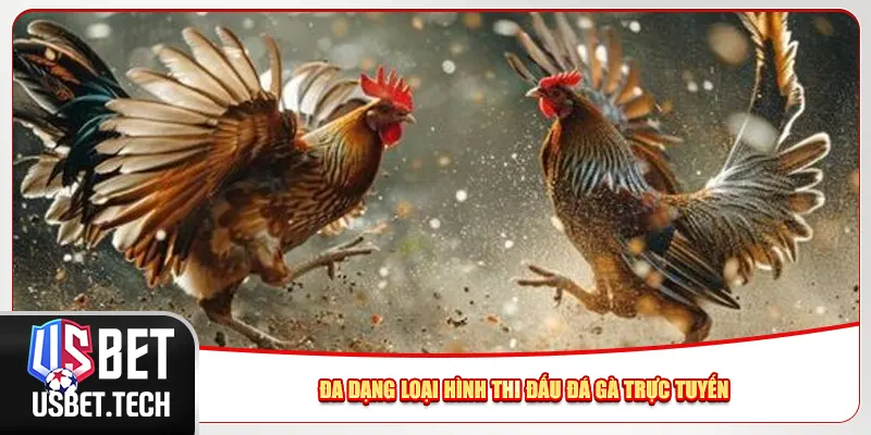 Đa dạng loại hình thi đấu đá gà trực tuyến