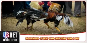 Đá Gà Cựa Dao - Bí Quyết Giành Chiến Thắng Trong 3 Phút