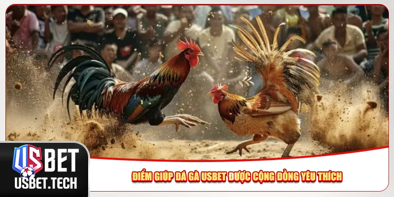 Điểm giúp đá gà Usbet được cộng đồng yêu thích