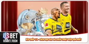 Kèo Chấp 1/4 - Cách Đọc Kèo Và Chiến Thuật Hiệu Quả Nhất