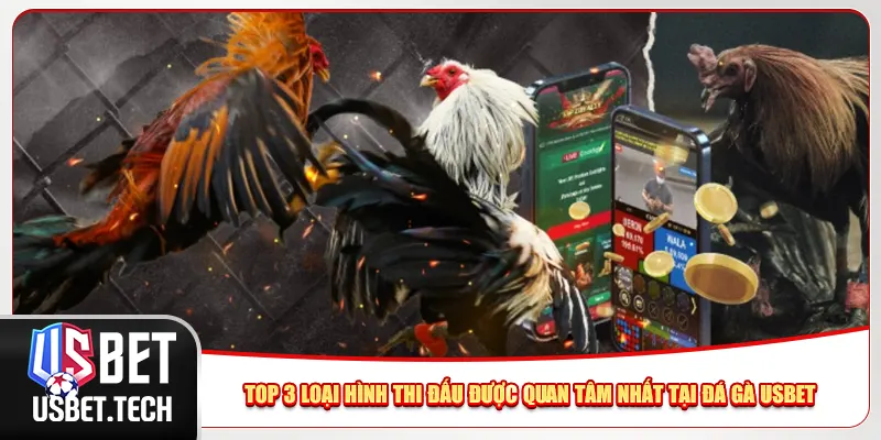 Top 3 loại hình thi đấu được quan tâm nhất tại đá gà Usbet