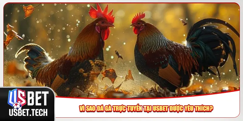 Vì sao đá gà trực tuyến tại Usbet được yêu thích?